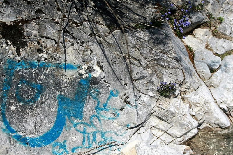 Flüssiges Gold – Spurensuche im Quellgebiet vom Stöttlbach