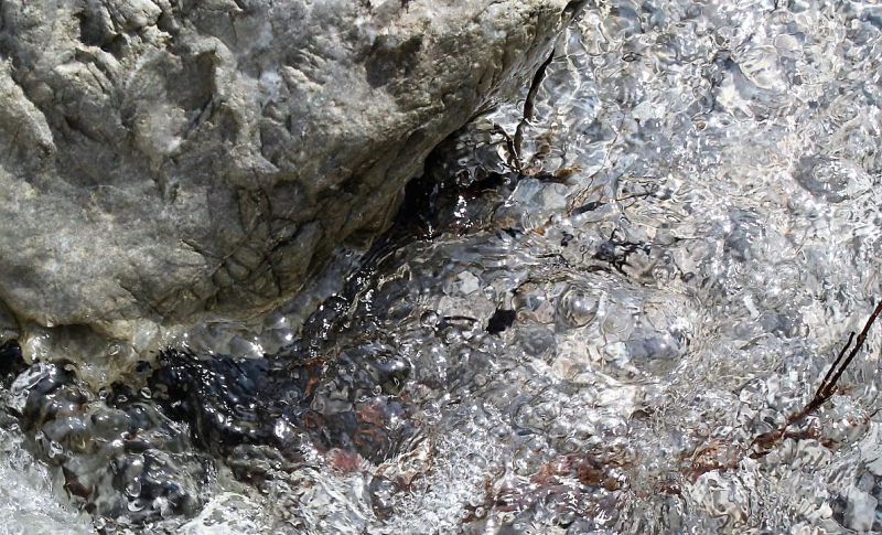 Flüssiges Gold – Spurensuche im Quellgebiet vom Stöttlbach