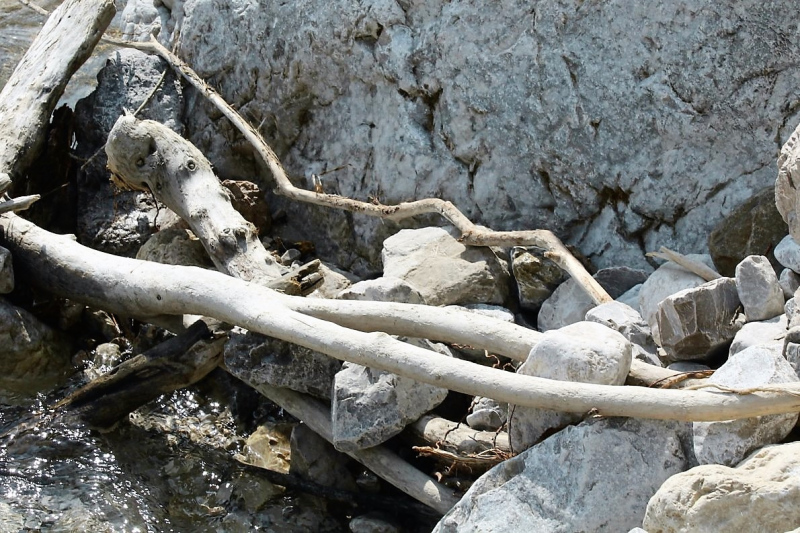 Flüssiges Gold – Spurensuche im Quellgebiet vom Stöttlbach