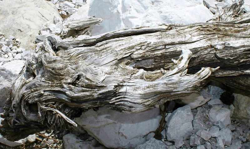 Flüssiges Gold – Spurensuche im Quellgebiet vom Stöttlbach