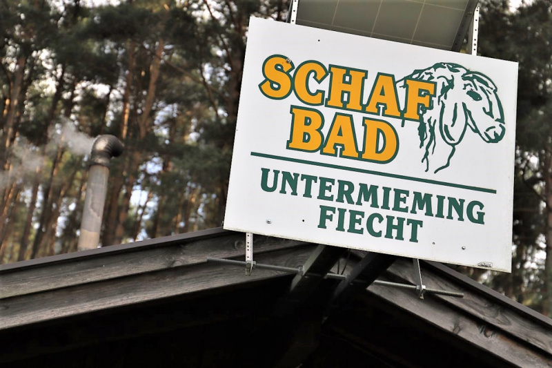 Herbstschafbad 2017 in Fiecht