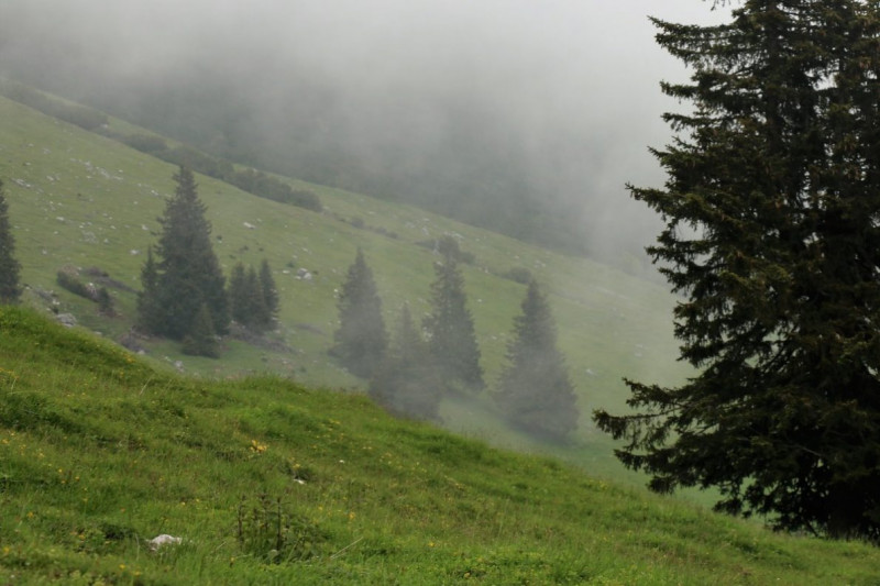 Hochbaustelle Feldernalm – Kein Termindruck