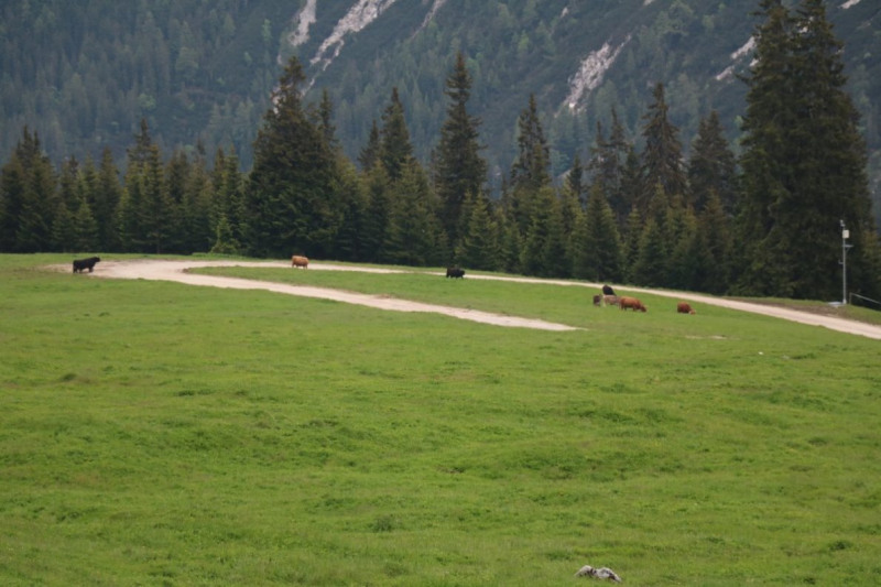 Hochbaustelle Feldernalm – Kein Termindruck