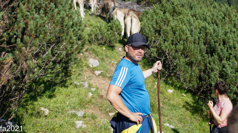 Hochfeldernalm – Das Almvieh zieht ins Felderertal