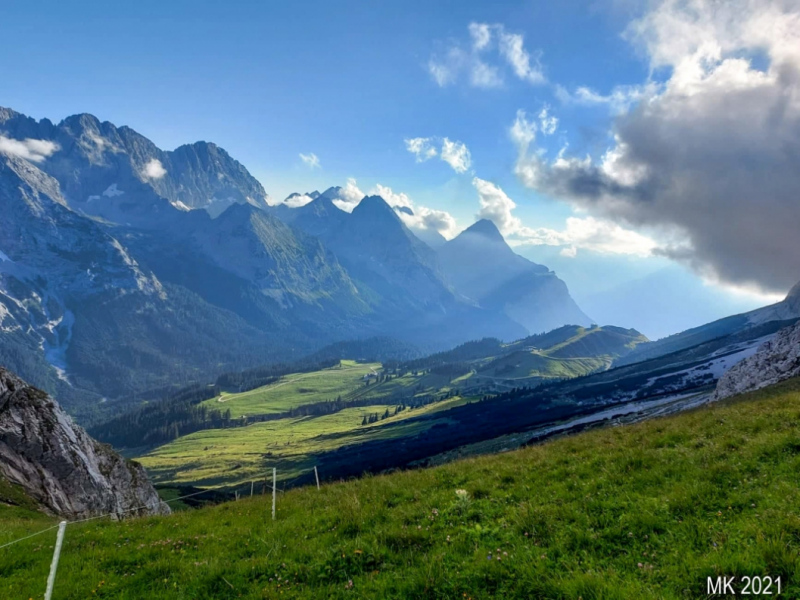 Hochfeldernalm – Das Almvieh zieht ins Felderertal