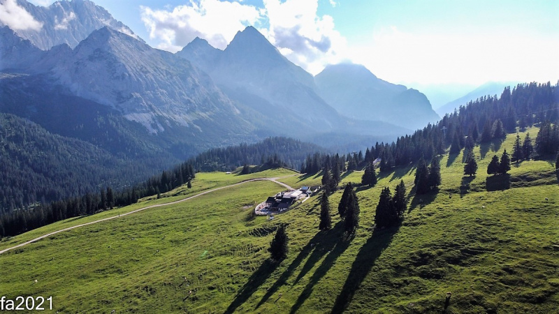 Hochfeldernalm – Das Almvieh zieht ins Felderertal