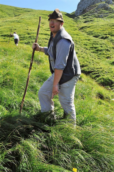 Hochfeldernalm im Juli 2013 – Viehauftrieb ins Felderer Tal