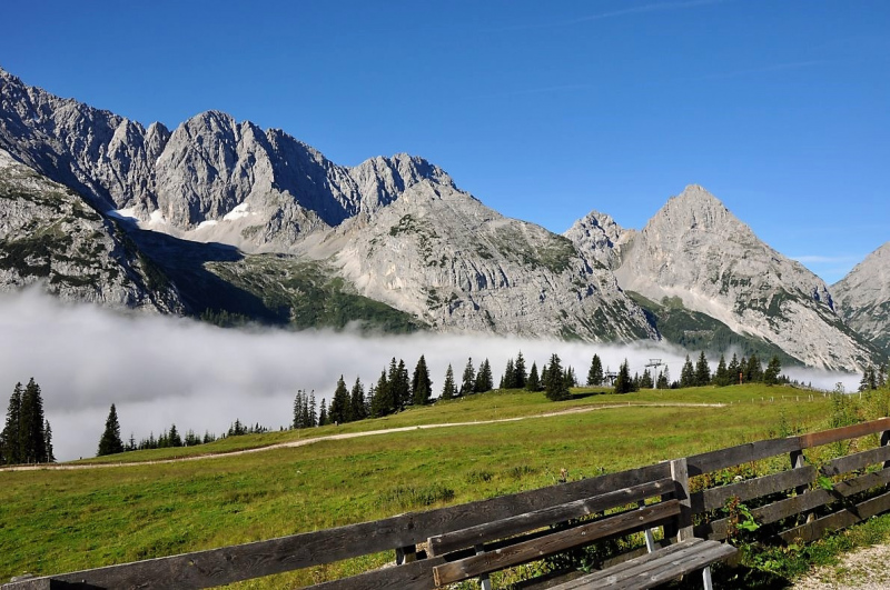 Hochfeldernalm im Juli 2013 – Viehauftrieb ins Felderer Tal