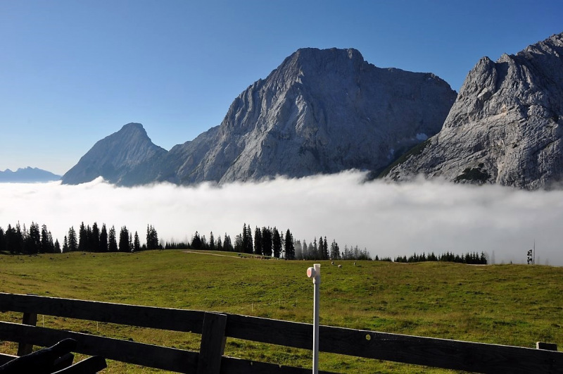 Hochfeldernalm im Juli 2013 – Viehauftrieb ins Felderer Tal