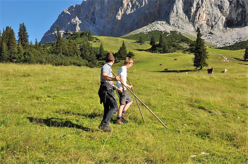 Hochfeldernalm im Juli 2013 – Viehauftrieb ins Felderer Tal