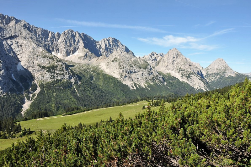Hochfeldernalm im Juli 2013 – Viehauftrieb ins Felderer Tal