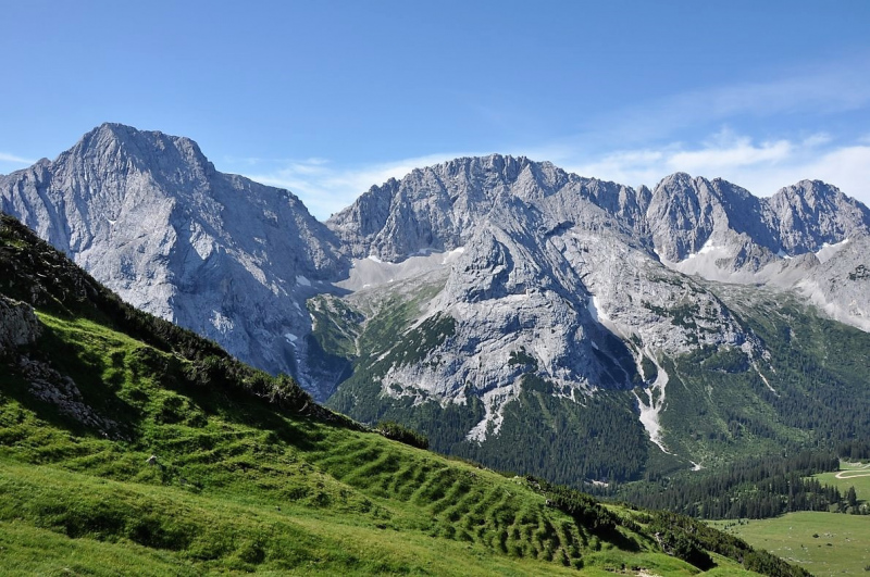 Hochfeldernalm im Juli 2013 – Viehauftrieb ins Felderer Tal