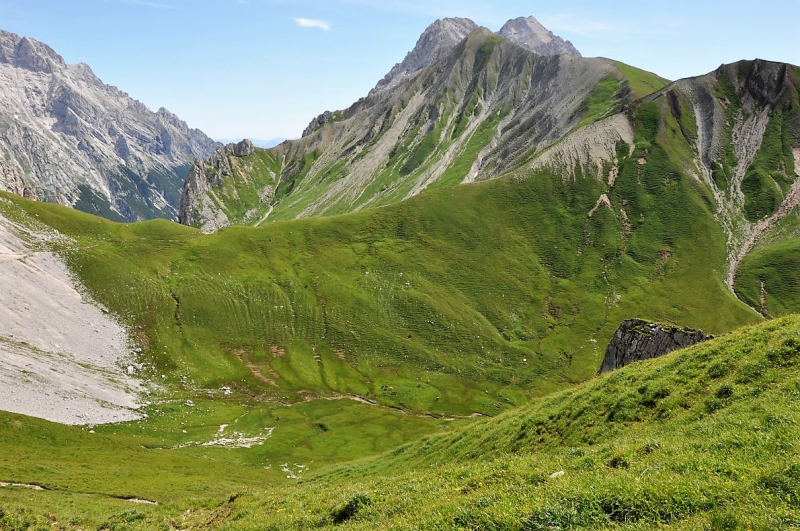 Hochfeldernalm im Juli 2013 – Viehauftrieb ins Felderer Tal