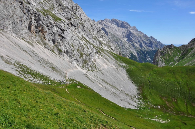 Hochfeldernalm im Juli 2013 – Viehauftrieb ins Felderer Tal