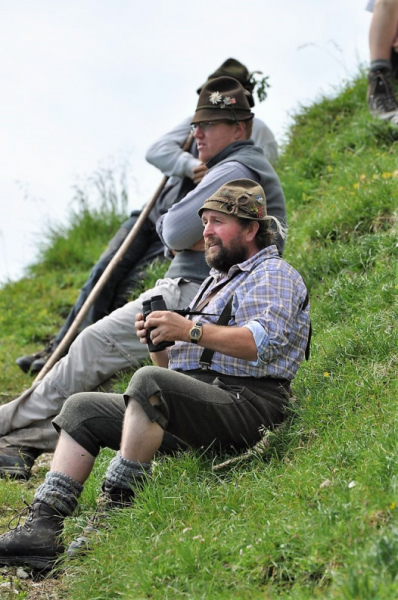 Hochfeldernalm im Juli 2013 – Viehauftrieb ins Felderer Tal