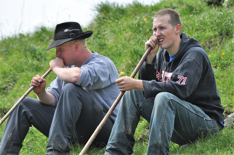 Hochfeldernalm im Juli 2013 – Viehauftrieb ins Felderer Tal