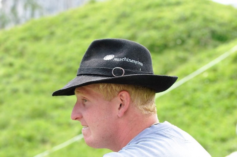Hochfeldernalm im Juli 2013 – Viehauftrieb ins Felderer Tal