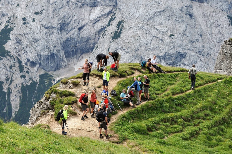 Hochfeldernalm im Juli 2013 – Viehauftrieb ins Felderer Tal