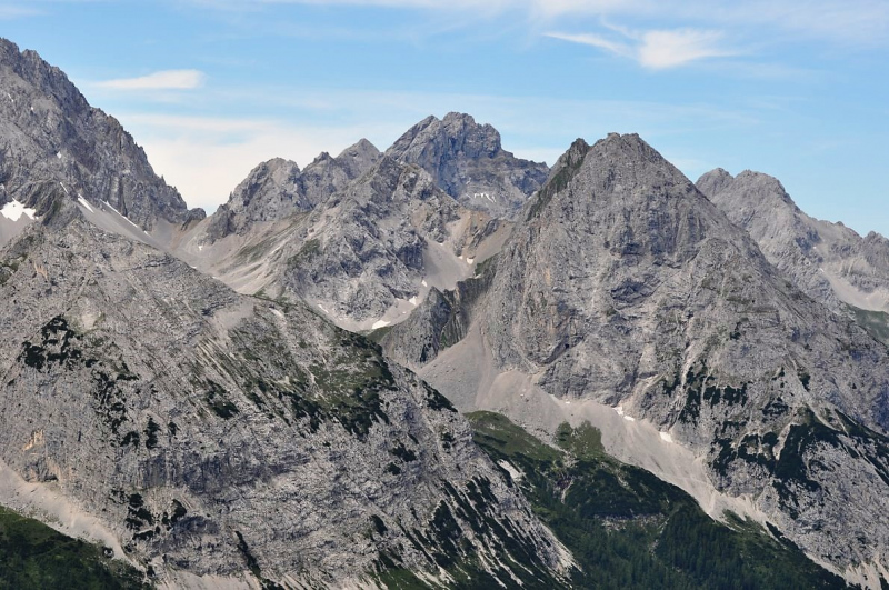 Hochfeldernalm im Juli 2013 – Viehauftrieb ins Felderer Tal