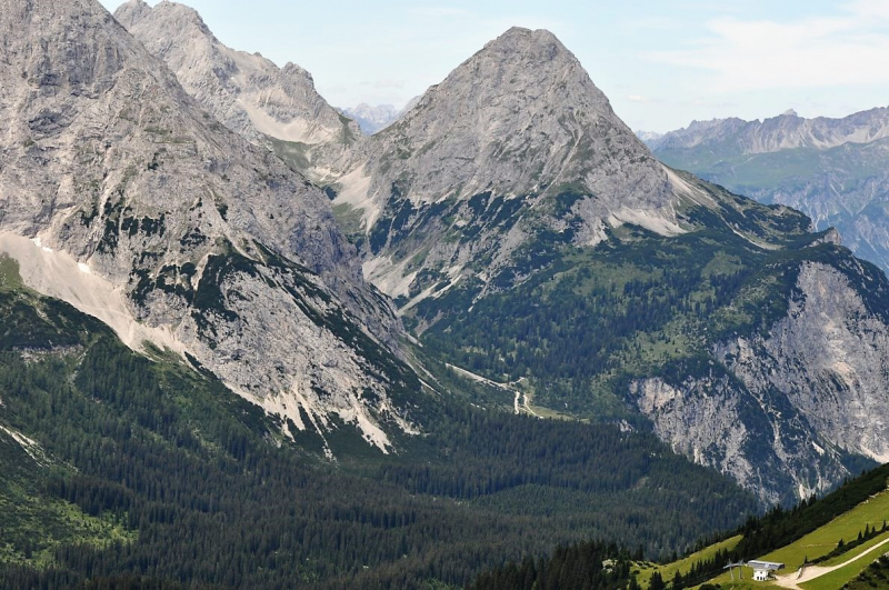 Hochfeldernalm im Juli 2013 – Viehauftrieb ins Felderer Tal