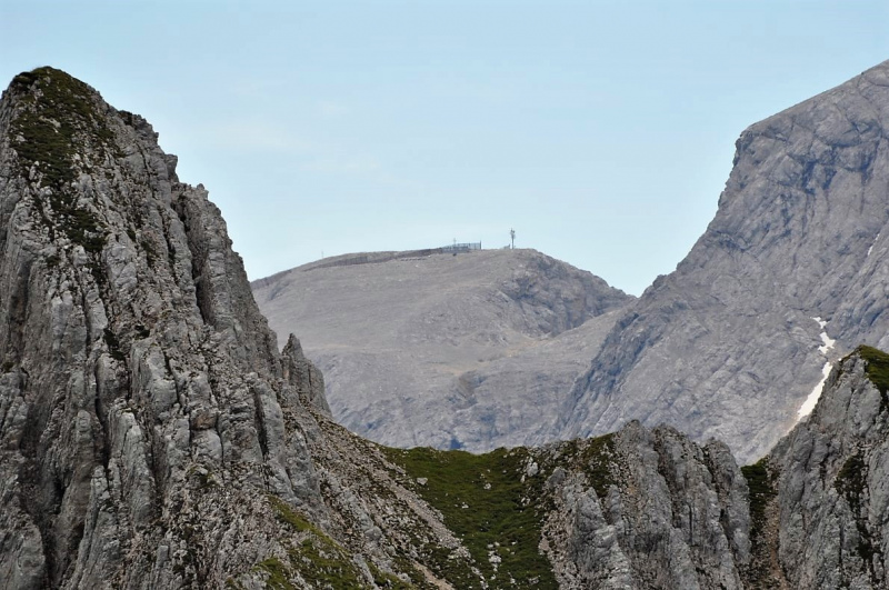 Hochfeldernalm im Juli 2013 – Viehauftrieb ins Felderer Tal