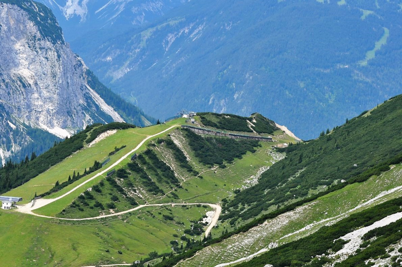 Hochfeldernalm im Juli 2013 – Viehauftrieb ins Felderer Tal