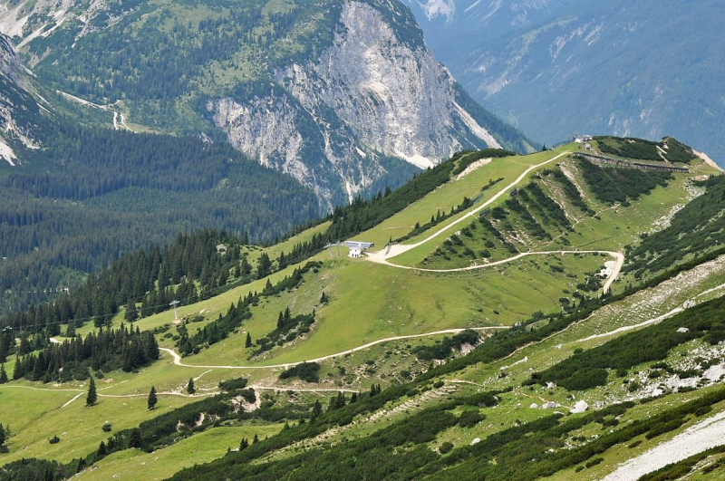 Hochfeldernalm im Juli 2013 – Viehauftrieb ins Felderer Tal