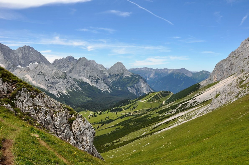 Hochfeldernalm im Juli 2013 – Viehauftrieb ins Felderer Tal