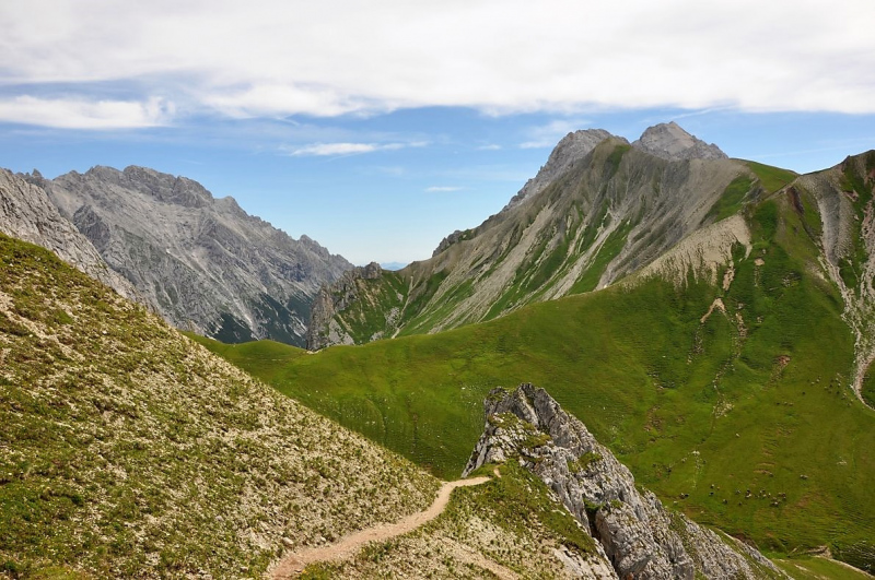 Hochfeldernalm im Juli 2013 – Viehauftrieb ins Felderer Tal