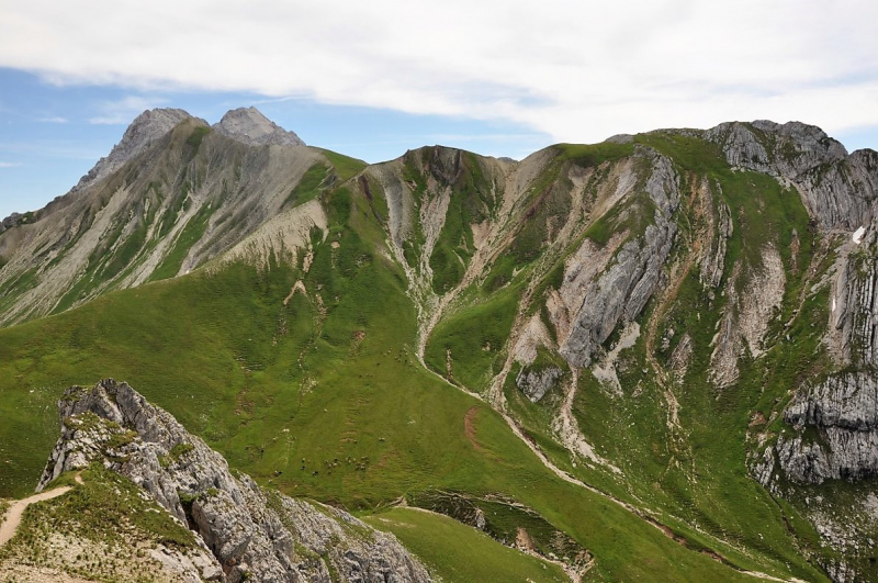 Hochfeldernalm im Juli 2013 – Viehauftrieb ins Felderer Tal