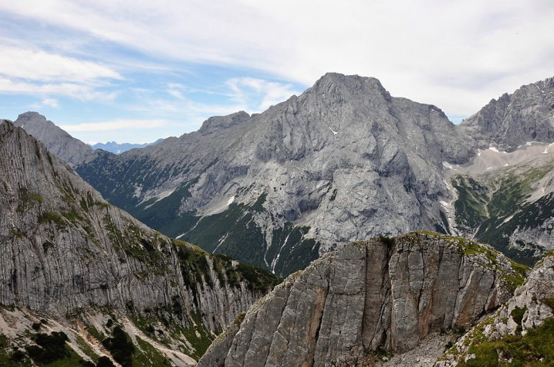 Hochfeldernalm im Juli 2013 – Viehauftrieb ins Felderer Tal