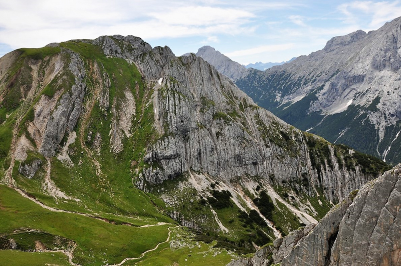 Hochfeldernalm im Juli 2013 – Viehauftrieb ins Felderer Tal