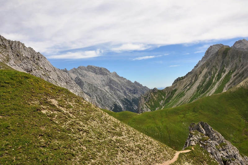 Hochfeldernalm im Juli 2013 – Viehauftrieb ins Felderer Tal