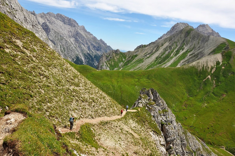 Hochfeldernalm im Juli 2013 – Viehauftrieb ins Felderer Tal