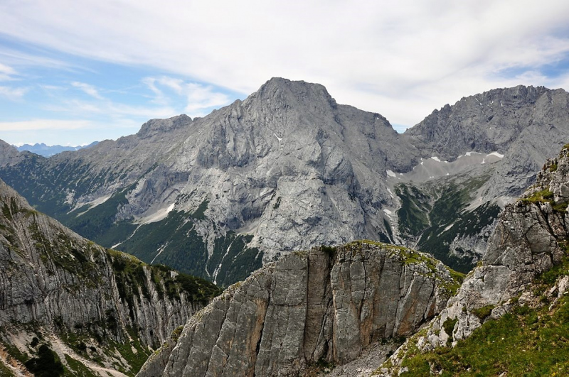 Hochfeldernalm im Juli 2013 – Viehauftrieb ins Felderer Tal