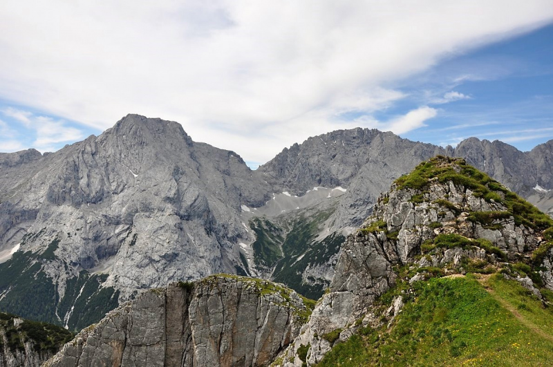 Hochfeldernalm im Juli 2013 – Viehauftrieb ins Felderer Tal