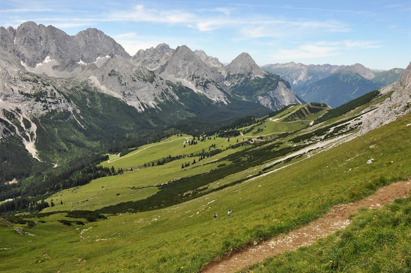 Hochfeldernalm im Juli 2013 – Viehauftrieb ins Felderer Tal