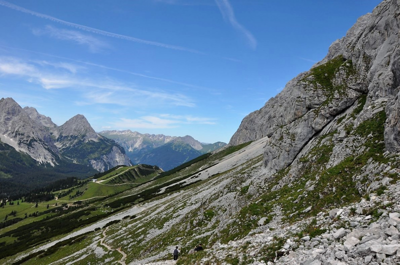 Hochfeldernalm im Juli 2013 – Viehauftrieb ins Felderer Tal