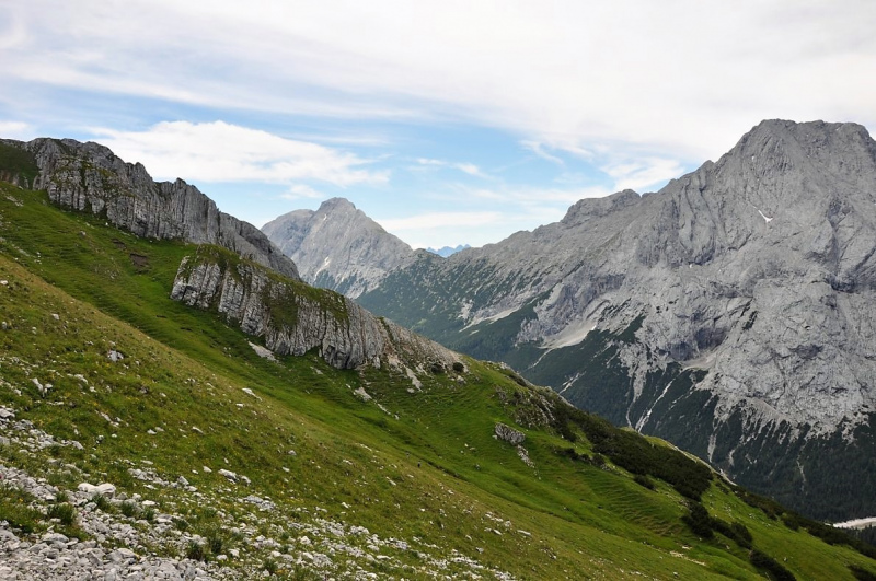 Hochfeldernalm im Juli 2013 – Viehauftrieb ins Felderer Tal