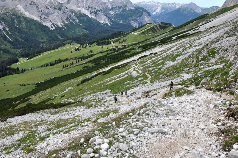 Hochfeldernalm im Juli 2013 – Viehauftrieb ins Felderer Tal