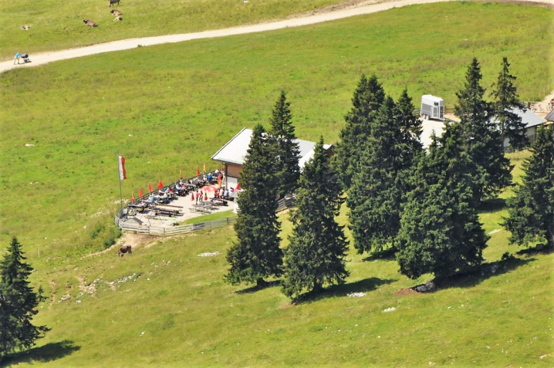 Hochfeldernalm im Juli 2013 – Viehauftrieb ins Felderer Tal