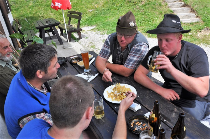 Hochfeldernalm im Juli 2013 – Viehauftrieb ins Felderer Tal
