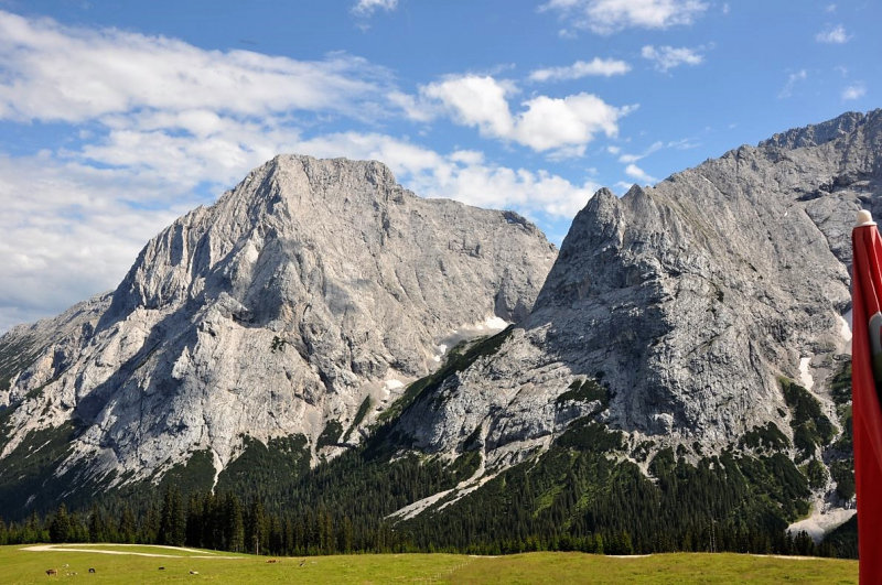 Hochfeldernalm im Juli 2013 – Viehauftrieb ins Felderer Tal