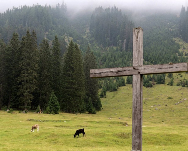 Honig aus dem Mieminger Almenland