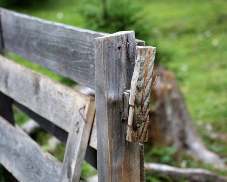 Honig aus dem Mieminger Almenland
