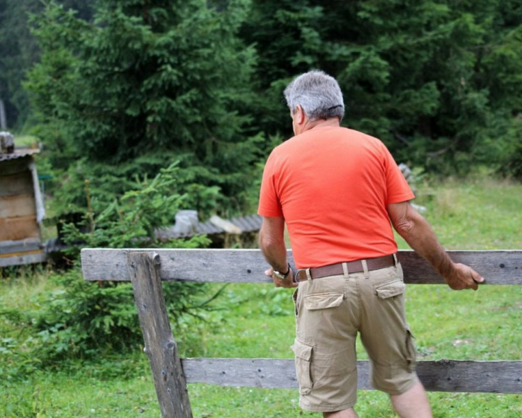 Honig aus dem Mieminger Almenland