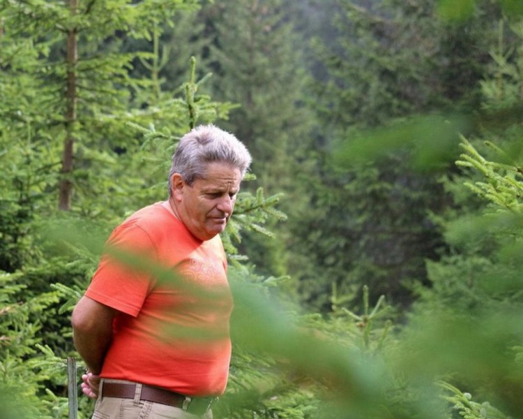 Honig aus dem Mieminger Almenland