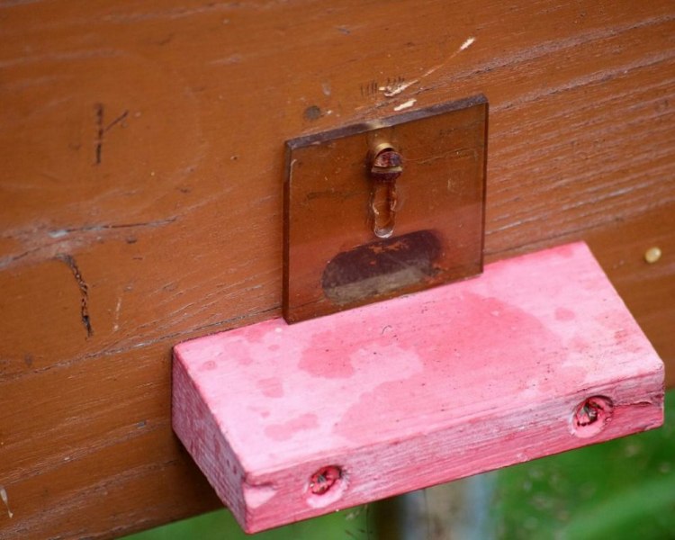 Honig aus dem Mieminger Almenland