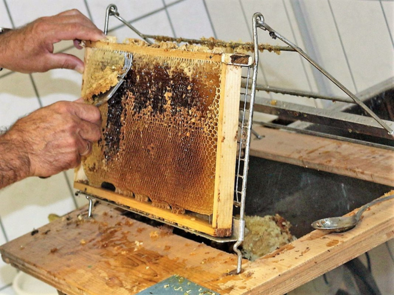 Honig aus dem Mieminger Almenland