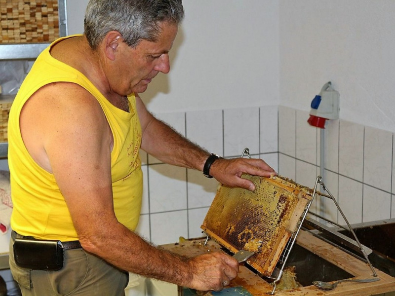 Honig aus dem Mieminger Almenland